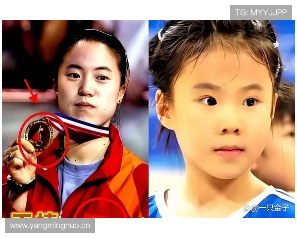 王楠家里那开挂车库都能拍杂志了吧？啥档次啊！