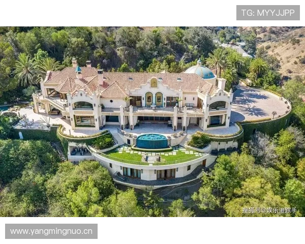 大阪刚买下比弗利山庄那套豪宅，月供比我年薪还高