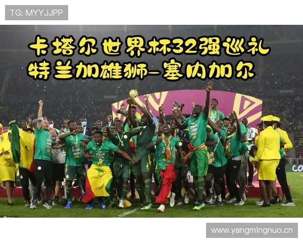 塞内加尔队2026世界杯晋级32强机会预测